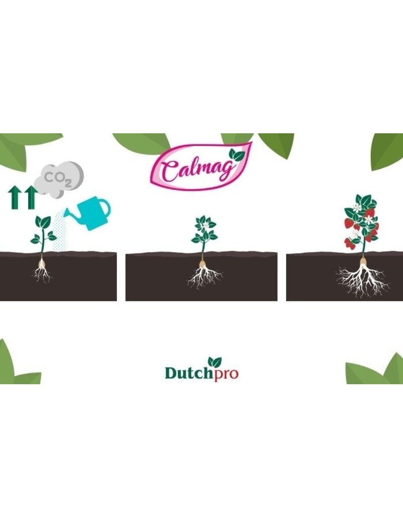 Dutchpro DutchPro Calmag 1 L