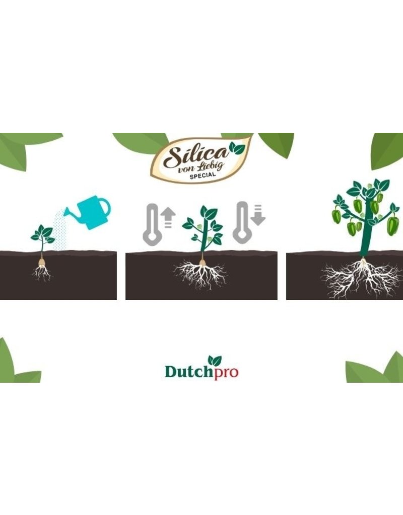 Dutchpro DutchPro Silica Von Liebig Special 1 L