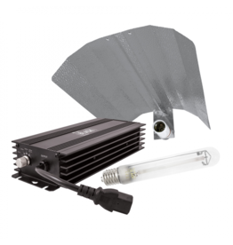 LUMii EVSG Set 600 W dimmbar - Lumii - Leuchtmittel - Reflektor