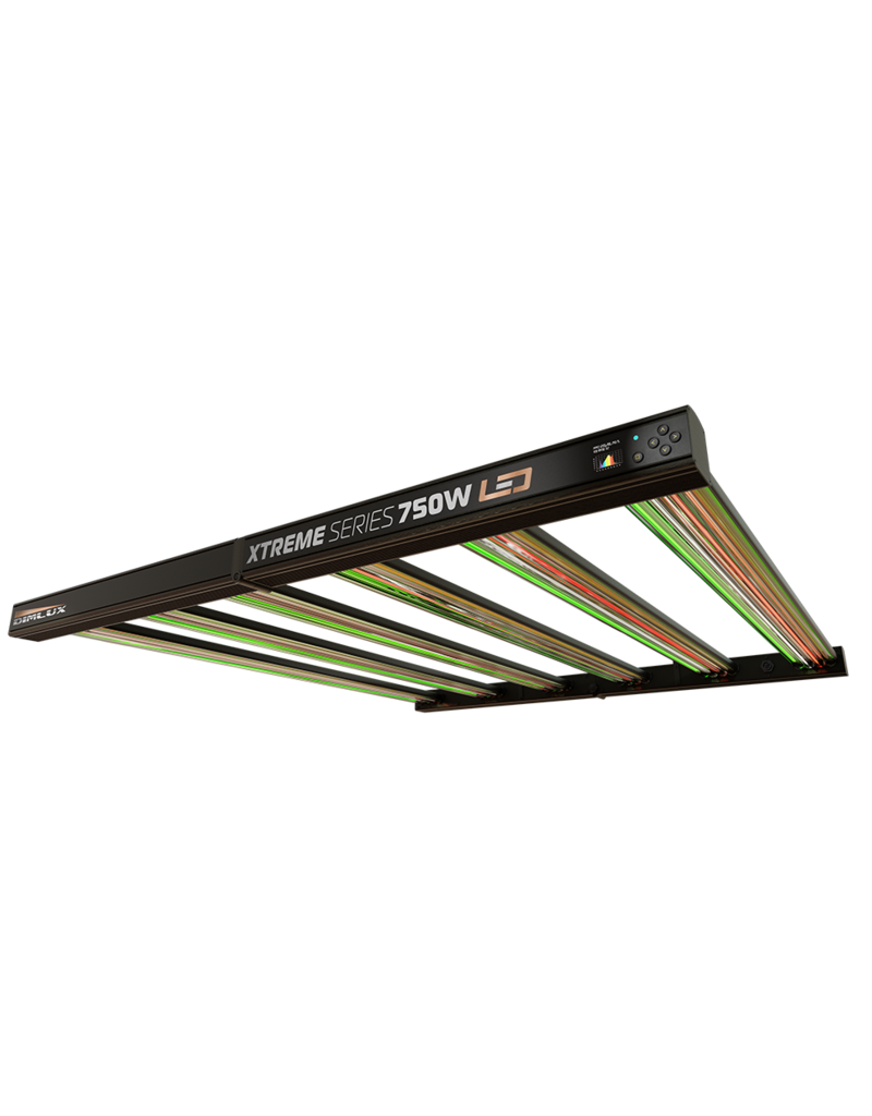 Dimlux Dimlux Extreme LED 750W