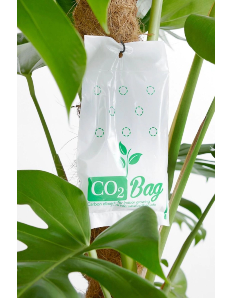 CO2 Bag - CO2 Zakje - XL- 6m2 - 150 gram