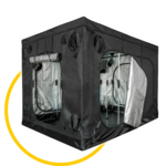 Mammoth Elite S.A. (Stand Alone)