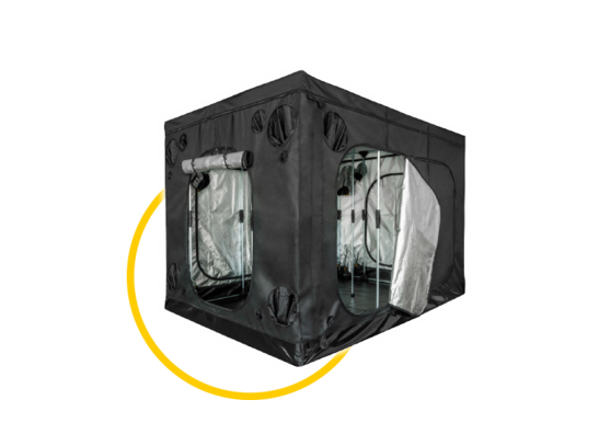 Mammoth Elite S.A. (Stand Alone)
