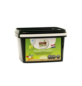 BioTabs BioTabs Silicium Flash 1250 Gramm