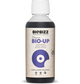 Biobizz Biobizz Bio-Up 250 ml (pH+)