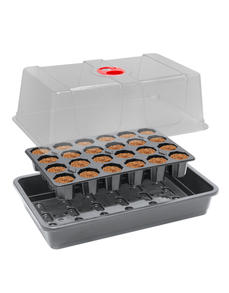 ROOT!T ROOT!T Anzucht-Set, incl. 24er Tray Anzuchtwürfel, torffrei + Gewächshaus