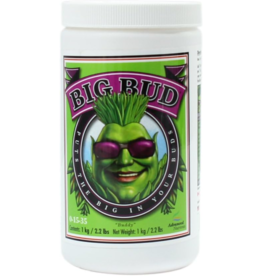 Advanced Nutrients Advanced Nutrients Big Bud Powder 1 kg