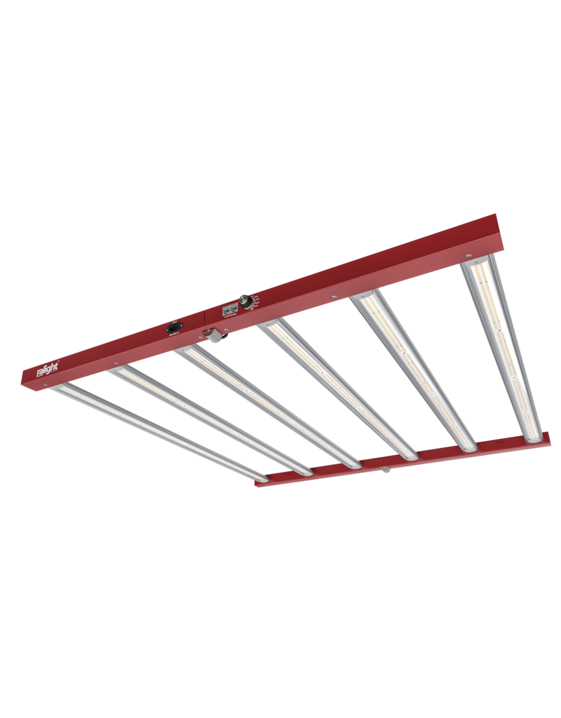 Ralight Ralight LED 720W XS 6 bars 100X100cm - Kompakte LED-Growlampe