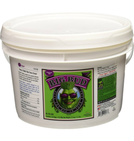 Advanced Nutrients Advanced Nutrients Big Bud Powder 2,5 kg