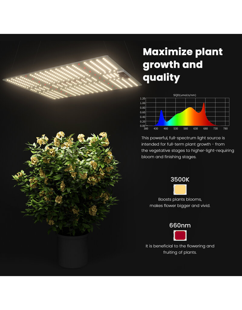 Ralight Ralight Quantumboard 120W
