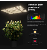 Ralight Ralight Quantumboard 240W