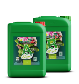 Dutchpro DutchPro Erde/Soil Bloom A+B 10 L