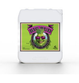 Advanced Nutrients Advanced Nutrients Big Bud 5 L