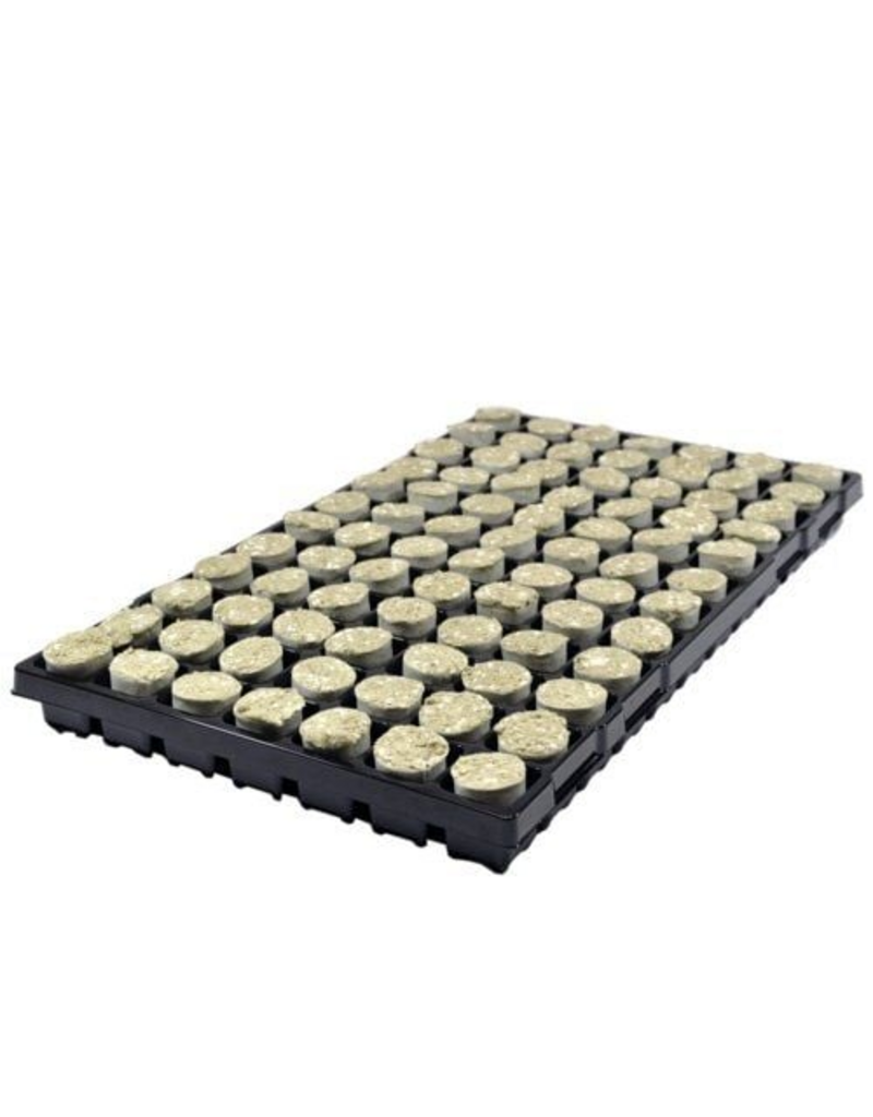 Paperpot 34 ø – 84 St. (pro Tray)