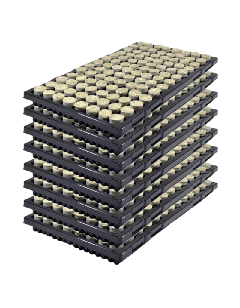 Paperpot 28 ø – 104 pro Tray (Karton mit 8 Trays)