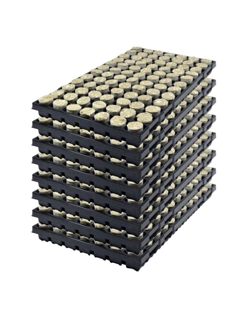 Paperpot 34ø – 84 pro Tray (Karton mit 8 Trays)