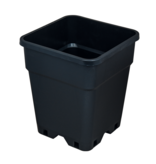 Senkap Kweekpot Senkap PP 11 liter vierkant 24x24x28 cm