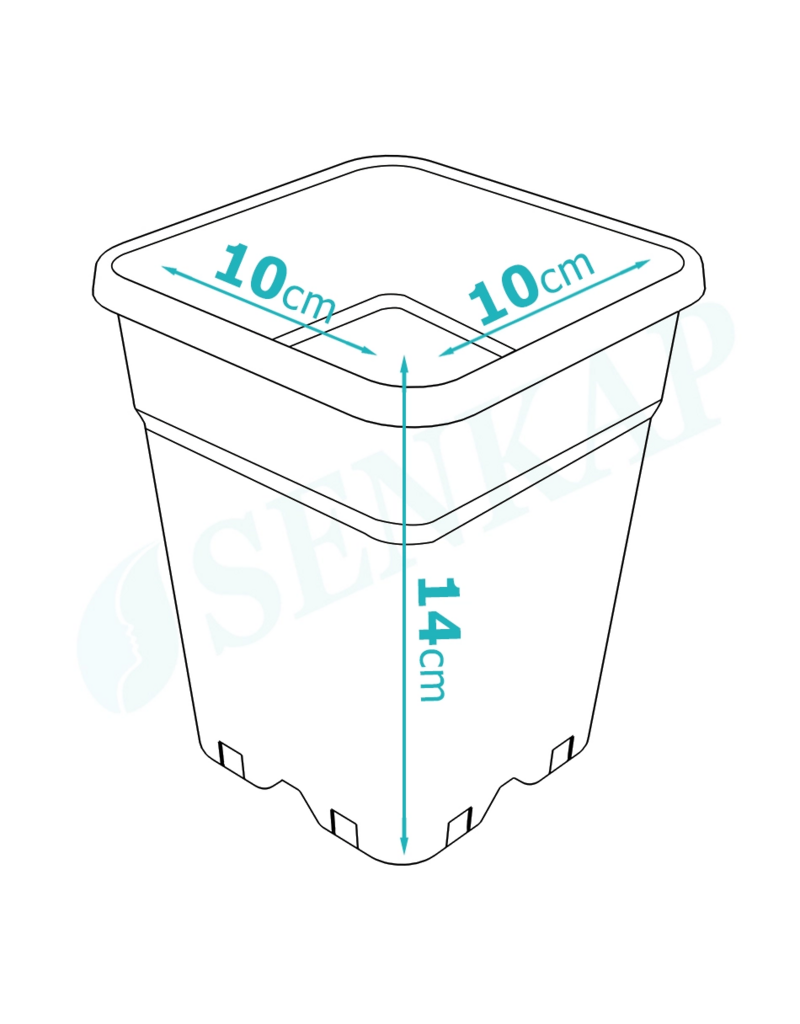 Senkap Topf Senkap PP 1 liter Viereckig 10x10x14 cm
