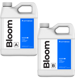 Athena Athena Bloom A+B 0.9 L
