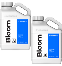 Athena Athena Bloom A+B 3.78 L