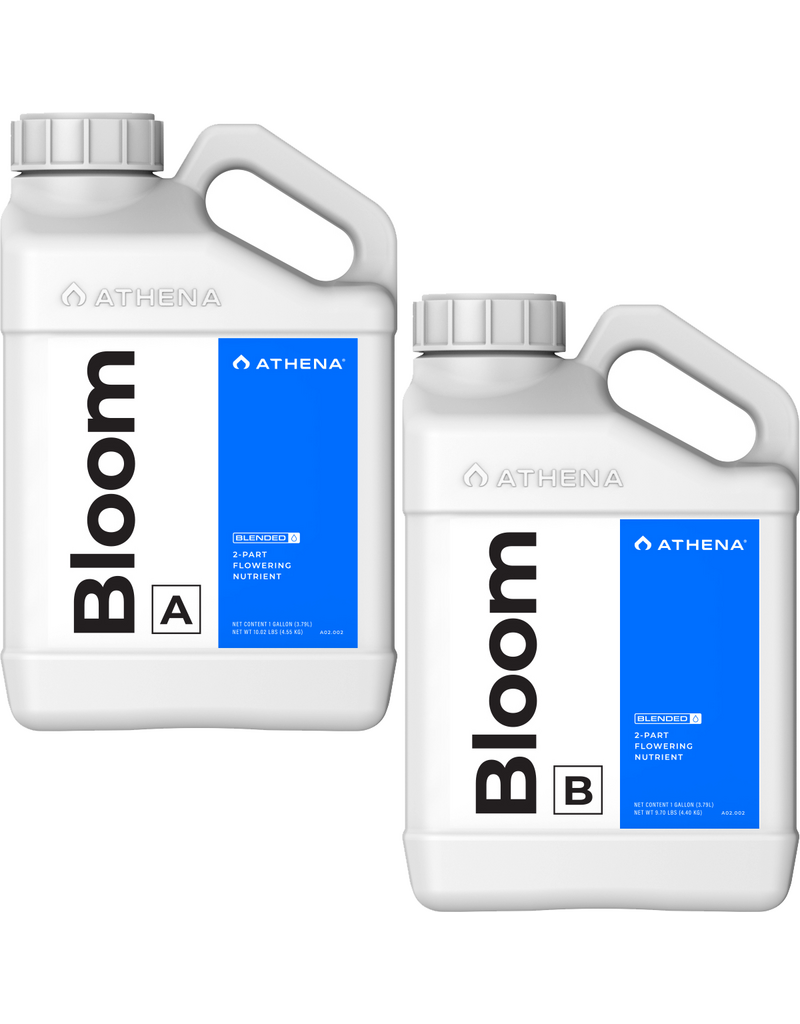 Athena Athena Bloom A+B 3.78 L