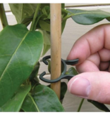 Plantenclips 50 stuks (30x klein, 20x groot)