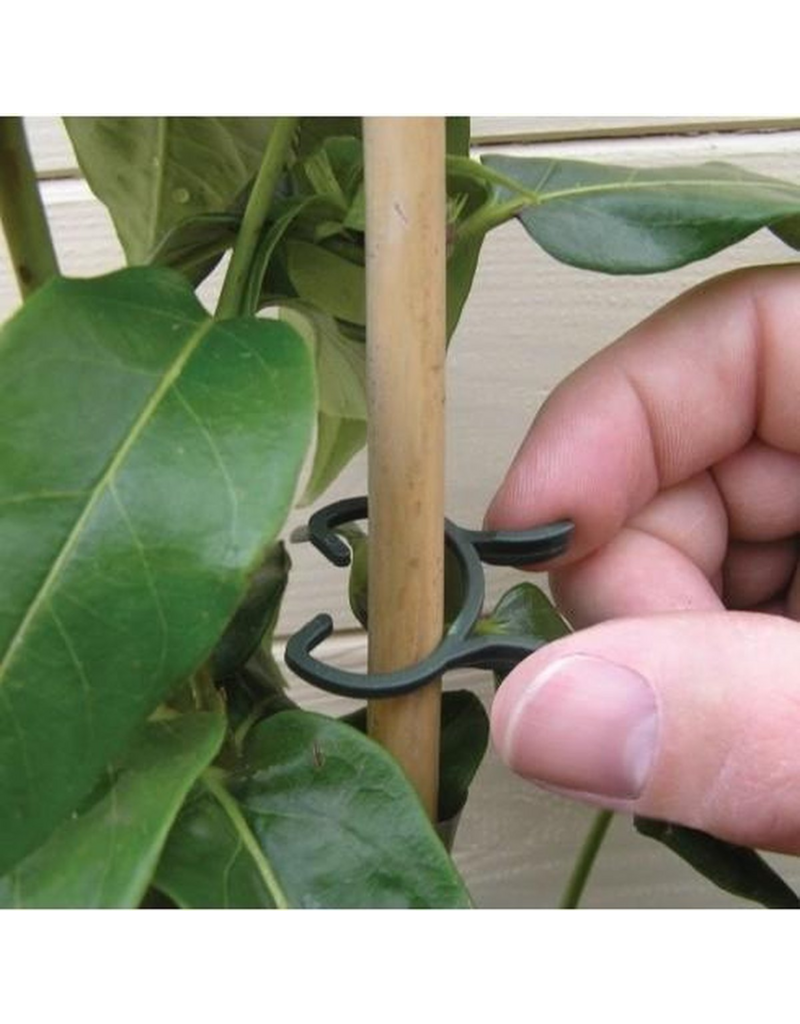 Plantenclips 50 stuks (30x klein, 20x groot)