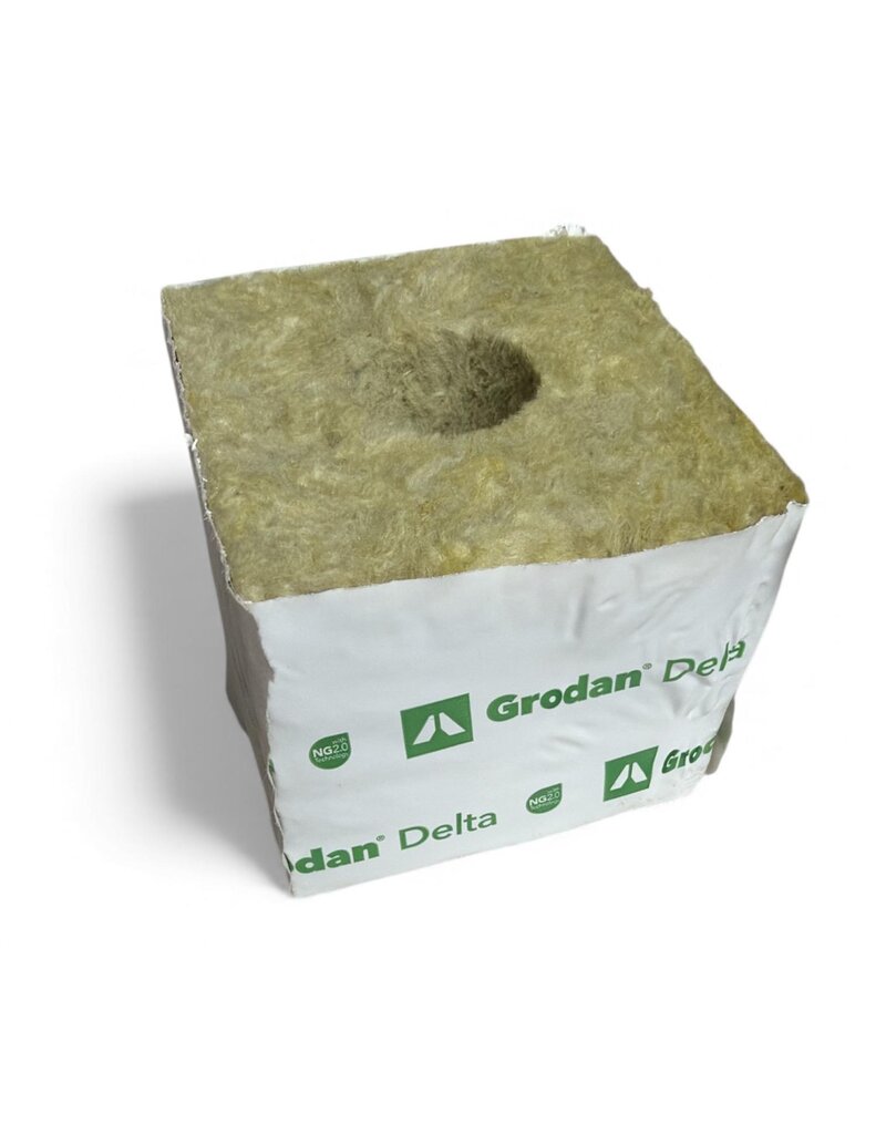 Grodan Grodan Startblok, klein gat, 28 mm (per stuk)