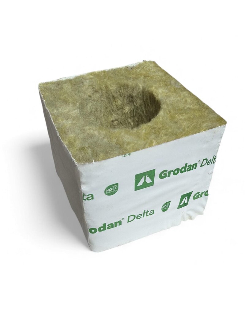 Grodan Grodan Startblock, großes Loch, 38 mm (pro Stück)