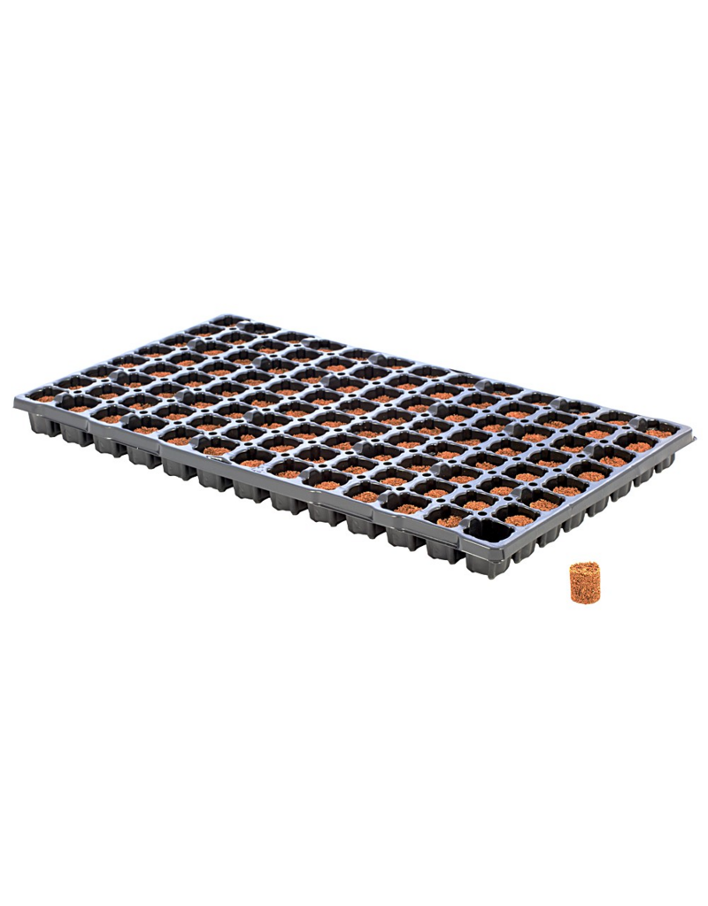 Eazy Plug CT104 rund, 3,5 x 2 cm 104 Stk. (pro Tray)