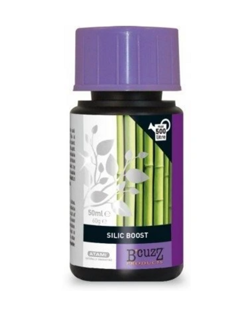 Atami Atami B'cuzz Silic Boost 100 ml