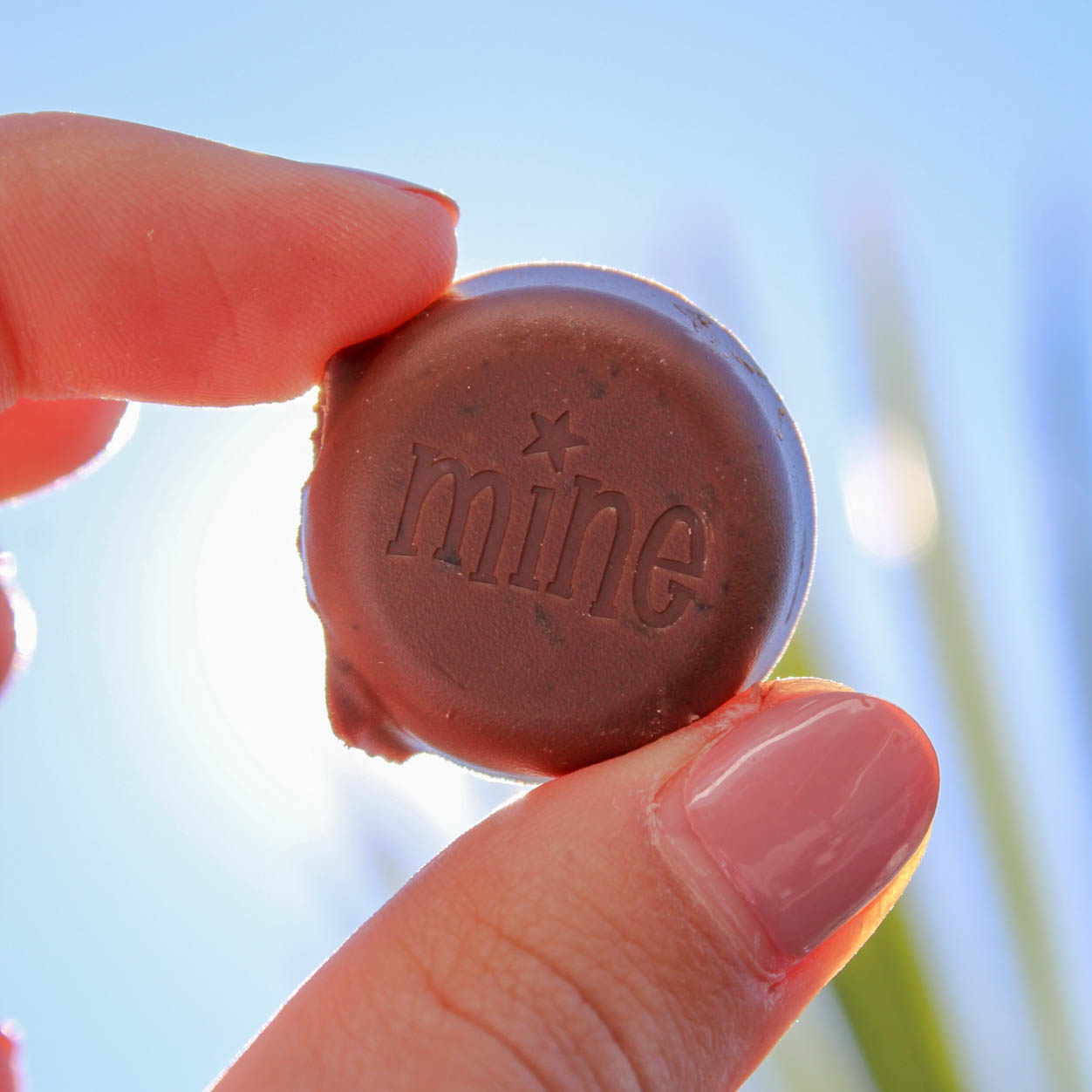 7 x Zomerse chocolade recepten
