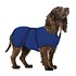 VDBT Dog Cool Coat