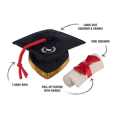 PLAY Back to School Grad cap & diploma toy