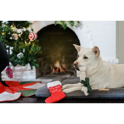 P.L.A.Y. PLAY Merry Woofmas Collectie