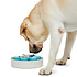 PetDreamHouse SPIN Interactive Feeder - Medium