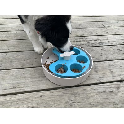 PetDreamHouse SPIN Interactive Feeder - Medium