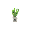 PLAY Blooming Buddies - Aloe-ve You Plant