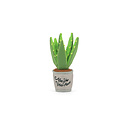 PLAY Blooming Buddies - Aloe-ve You Plant