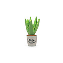 PLAY Blooming Buddies - Prickly Pup Cactus