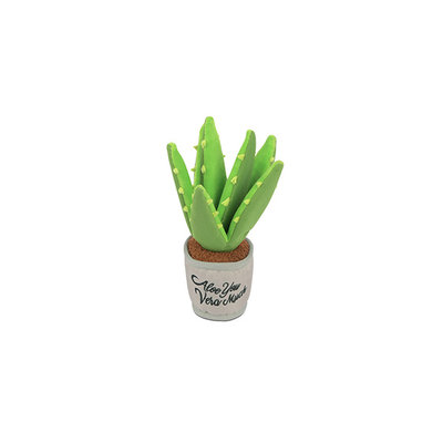 P.L.A.Y. Blooming Buddies - Aloe-ve You Plant