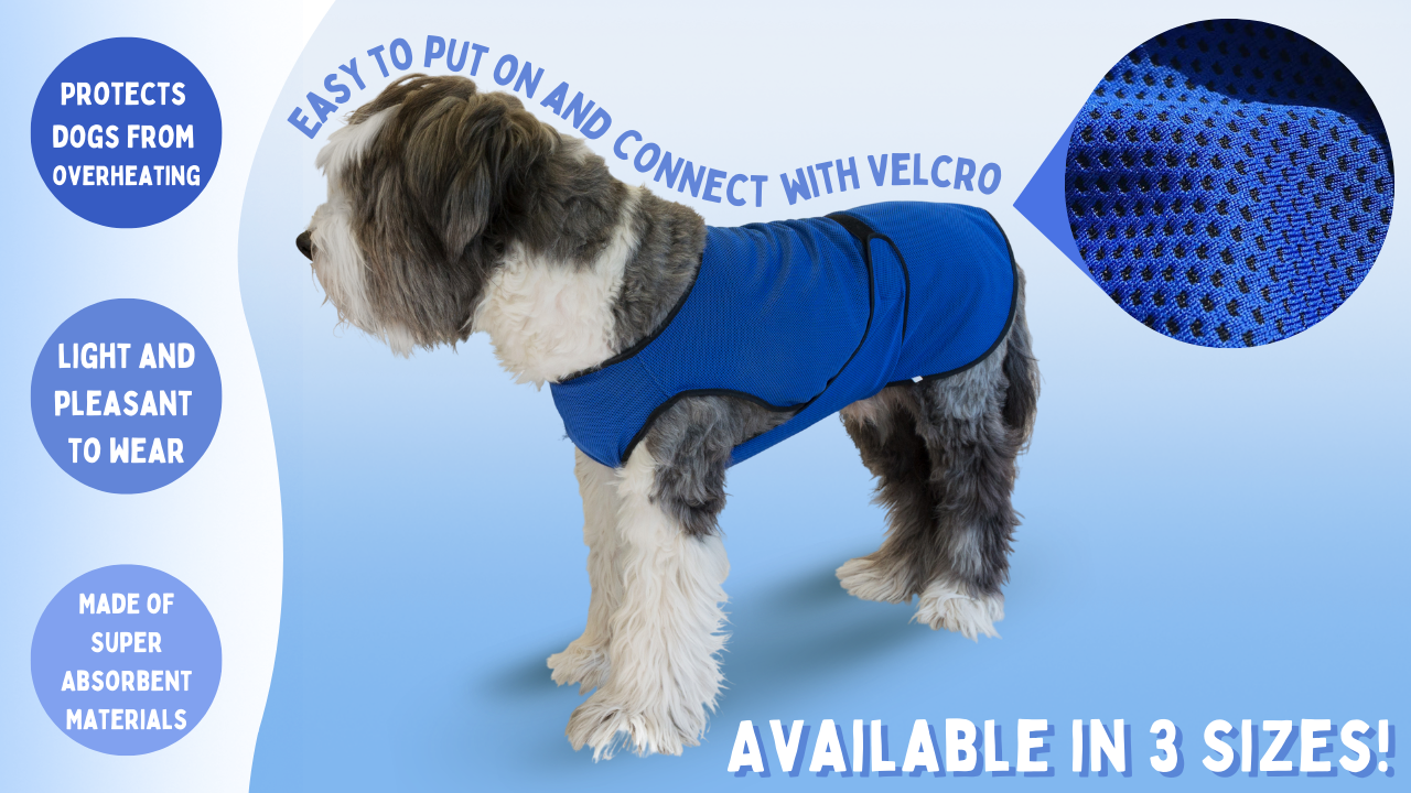 Hond afkoelen met de Dog Cool Coat MadeForDogs