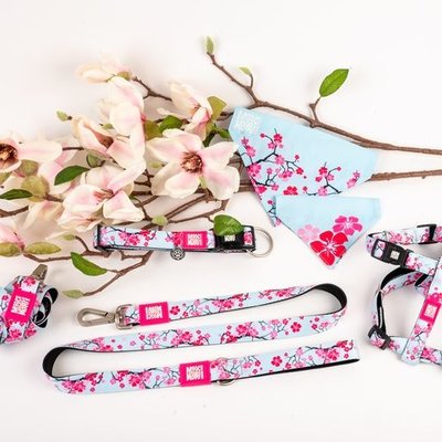 Max & Molly Halsband Cherry Bloom