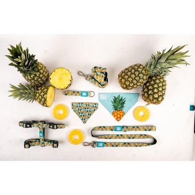 Max & Molly Key Ring Sweet Pineapple