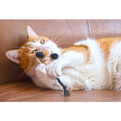 PLAY Feline Frenzy - Halloween Cat Toy - Menacing Mice