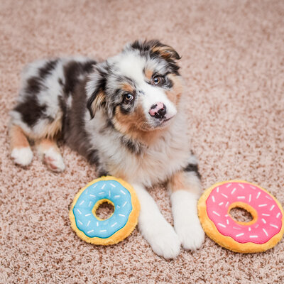 ZippyPaws Blueberry Donutz