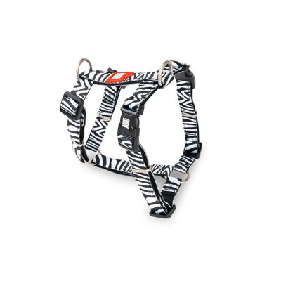 Max & Molly H-Harnas Zebra