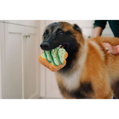 PLAY Barking Brunch - Avo-doggo Toast