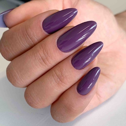 TS Products Polish 100