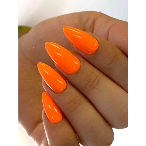 TS Products Polish 107